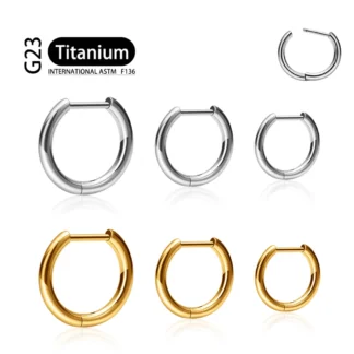 G23 Titanium 16G D Shape Segment Ring Clicker