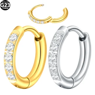 G23 Titanium Hoop Hinged Segment Round Nose Ring
