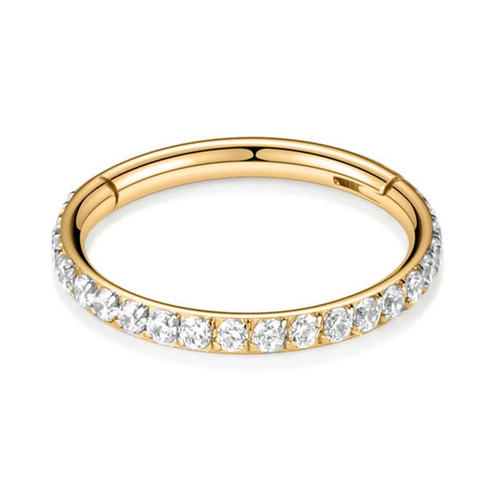 G23 Titanium Round Hinge Clicker Ring front CZ - Image 4