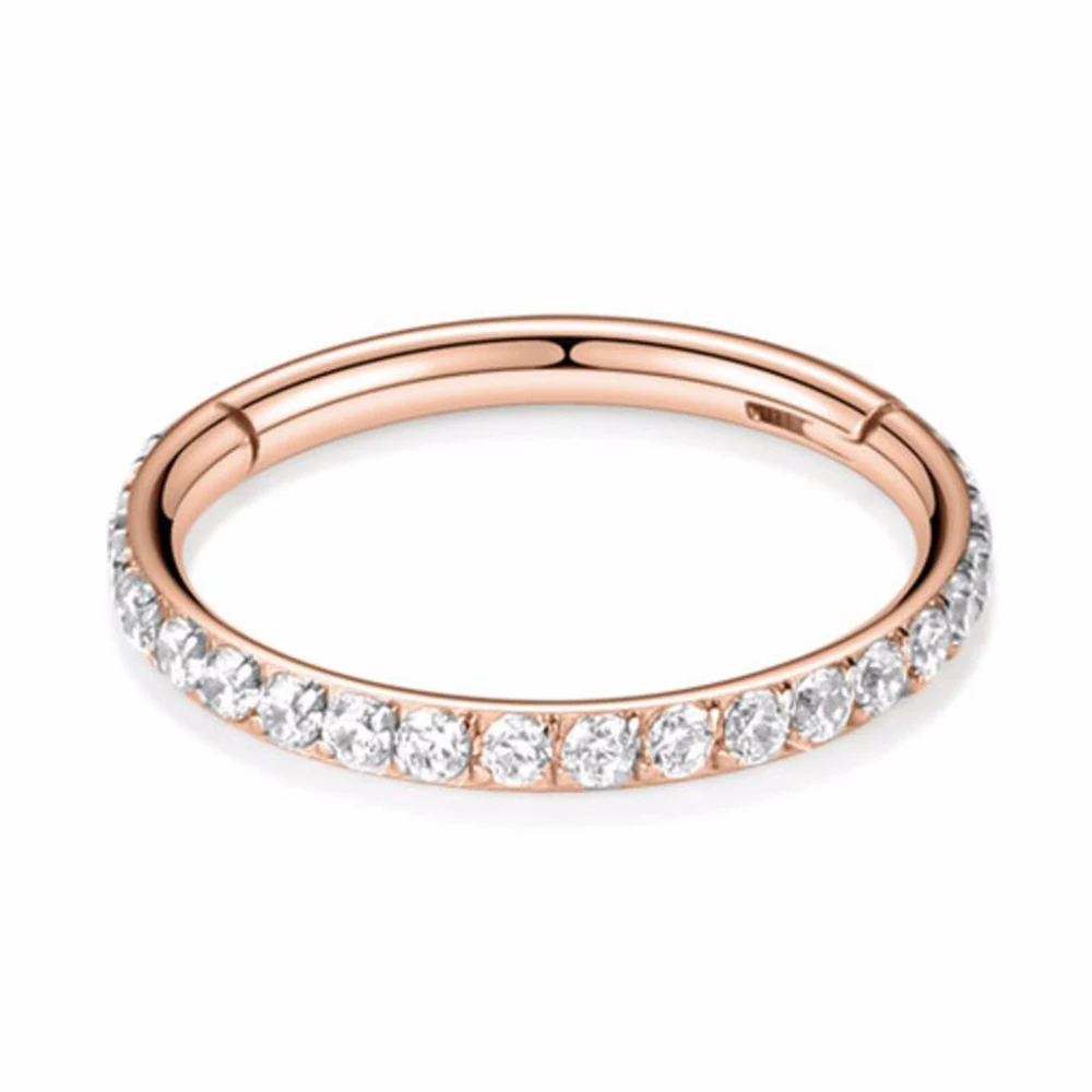 G23 Titanium Round Hinge Clicker Ring front CZ - Image 5