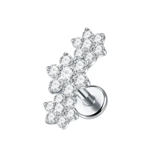 G23 Implant Grade Titanium Labret with CZ Crystal Top