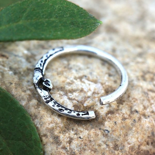 316L Stainless Steel Snake Heart Ring - Image 2